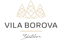 Hotel Vila Borova 