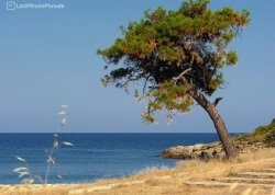 Jesenja putovanja - Tasos - Hoteli: Plaža Psili Amos