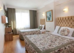 Vikend putovanja - Istanbul - Hoteli: Hotel Grand Ant 3*