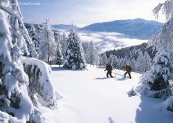 Nova godina 2025 - Bad Kleinkirchheim - Hoteli: Šetači