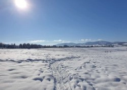 Vikend putovanja - Zlatibor - Apartmani