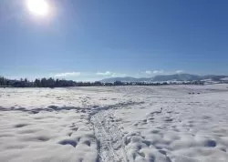 Vikend putovanja - Zlatibor - Apartmani: Konak K29 - Zlatiborski konaci