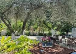 Leto 2025, letovanje - Kefalonija - Apartmani: Vila Tzakis