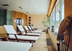 Nova godina 2025 - Mariborsko Pohorje - Hoteli: Hotel Bolfenk Wellness & Spa 4*