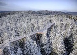 Zimovanje 2026, skijanje - Rogla - Hoteli