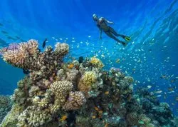 Prolećna putovanja - Hurgada - Hoteli