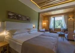 Zimovanje 2026, skijanje - Kopaonik - Hoteli: Hotel & Spa Gorski 4*