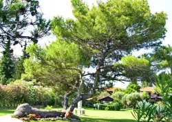 Leto 2026, letovanje - Polihrono - Apartmani: Odmor