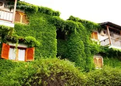 Leto 2026, letovanje - Pefkohori - Apartmani: Zelena kuća u Pefkohoriju