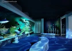 Vikend putovanja - Kruna Karpata - Hoteli: Unutrašnjost muzeja prirodne istorije