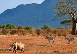 Jesenja putovanja - Kenija - Hoteli