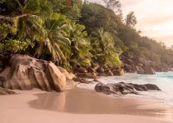 Leto 2026, letovanje - Sejšeli - Hoteli: Praslin