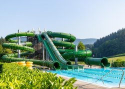 Vikend putovanja - Dolenjske Toplice - Hoteli: Hotel Balnea 4* superior