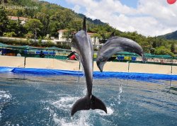 Leto 2025, letovanje - Marmaris - Hoteli: Park Delfina