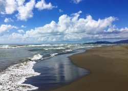 Leto 2025, letovanje - Ada Bojana - Apartmani: Plaža na Adi Bojani