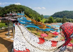 Vikend putovanja - Terme Olimia - Hoteli: Tobogani