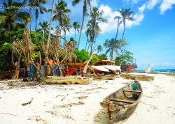 Daleke i egzotične destinacije - Tanzanija i Zanzibar - Hoteli: Centar leptira
