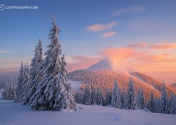 Nova godina 2026 - Pamporovo - Hoteli