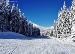 Nova godina 2026 - Bansko - Hoteli: Ski staza