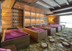Vikend putovanja - Kopaonik - Hoteli: Hotel & Spa Gorski 4*