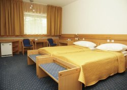 Vikend putovanja - Kranjska Gora - Hoteli: Hotel Špik 3*