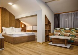 Nova godina 2026 - Bansko - Hoteli: Hotel Casa Karina 4*