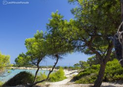 Nova godina 2026 - San Remo - Hoteli: Vurvuru