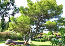 Leto 2025, letovanje - Polihrono - Apartmani: Odmor