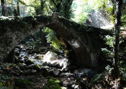 Leto 2026, letovanje - Pilion - Hoteli: Stari most na Pilionu