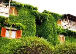 Leto 2025, letovanje - Pefkohori - Apartmani: Zelena kuća u Pefkohoriju