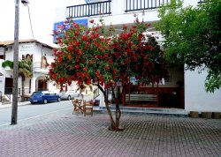 Leto 2025, letovanje - Kalitea - Apartmani: Ulica u Kalitei