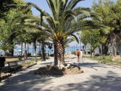 Leto 2025, letovanje - Halkidiki - Hoteli