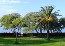 Leto 2025, letovanje - Hanioti - Apartmani: Plaža