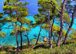 Leto 2025, letovanje - Hanioti - Hoteli: Afitos