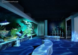 Nova godina 2026 - Bukurešt - Hoteli: Unutrašnjost muzeja prirodne istorije