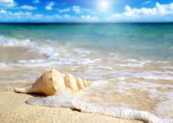 Leto 2025, letovanje - Nei Pori - Apartmani: Plaža