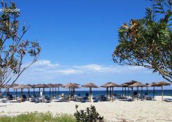 Leto 2025, letovanje - Paralija - Apartmani: Plaža