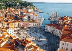 Leto 2025, letovanje - Portorož - Hoteli: Trg