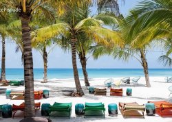 Daleke i egzotične destinacije - Zanzibar - Hoteli: Plaža Zuri