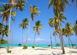 Daleke i egzotične destinacije - Zanzibar - Hoteli: Plaža