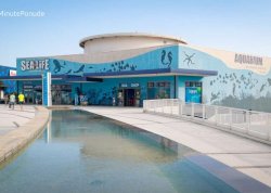 Šoping ture - Lido di Jesolo - Hoteli: Akvarijum morski život