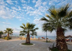 Leto 2025, letovanje - Asprovalta - Apartmani: Palme