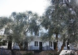 Leto 2026, letovanje - Vrahos - Apartmani: Vila Filoxenia 