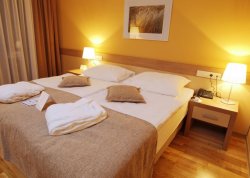 Nova godina 2026 - Terme Olimia - Hoteli: Hotel Breza 4*