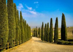 Šoping ture - Toskana - Hoteli