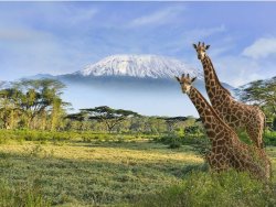 Jesenja putovanja - Safari avantura u Keniji - Hoteli