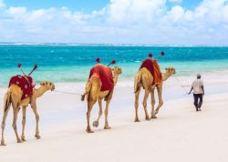 Leto 2026, letovanje - Kenija - Hoteli